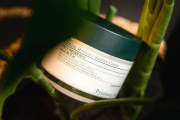 Skincare cream jar with green plant stalks - centella asiatica cica korean skincare