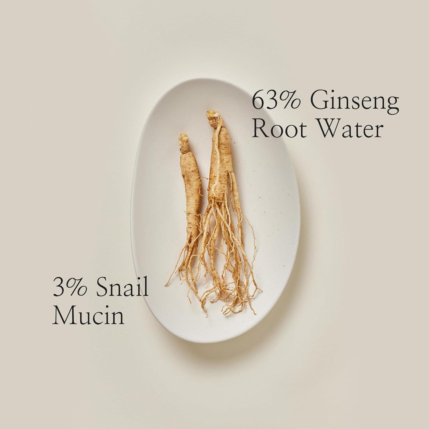 [Beauty of Joseon] Revive Serum: Ginseng + Schneckenschleim 30ml