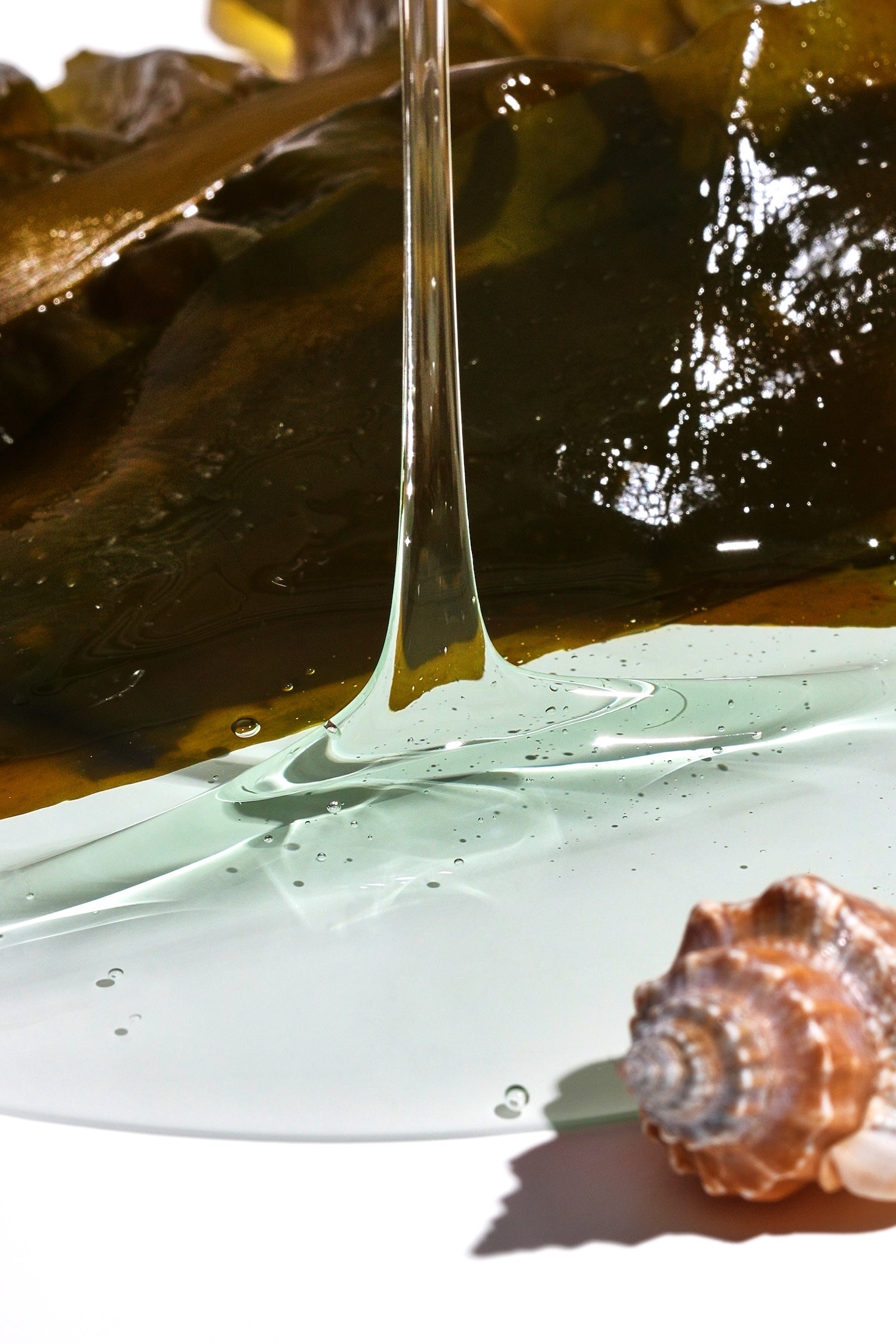 [Isntree] GIM PDRN Hydro Bouncy Ampulle 50ml